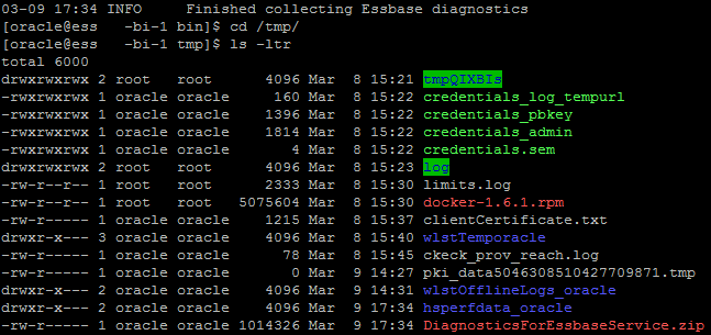 OAC Accessing Service Files Blog - Essbase Diagnostics File