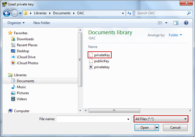 OAC Accessing Service Files Blog - Load Private Key