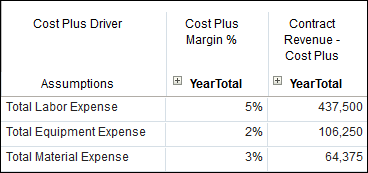 Oracle EPBCS Quick Tour for GovCon - Cost Plus Driver