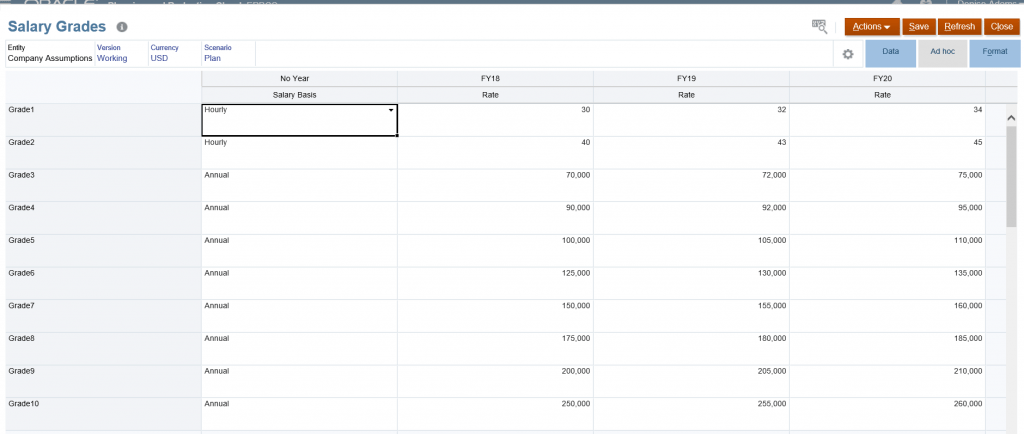 Oracle EPBCS Quick Tour for GovCon - Salary Grades