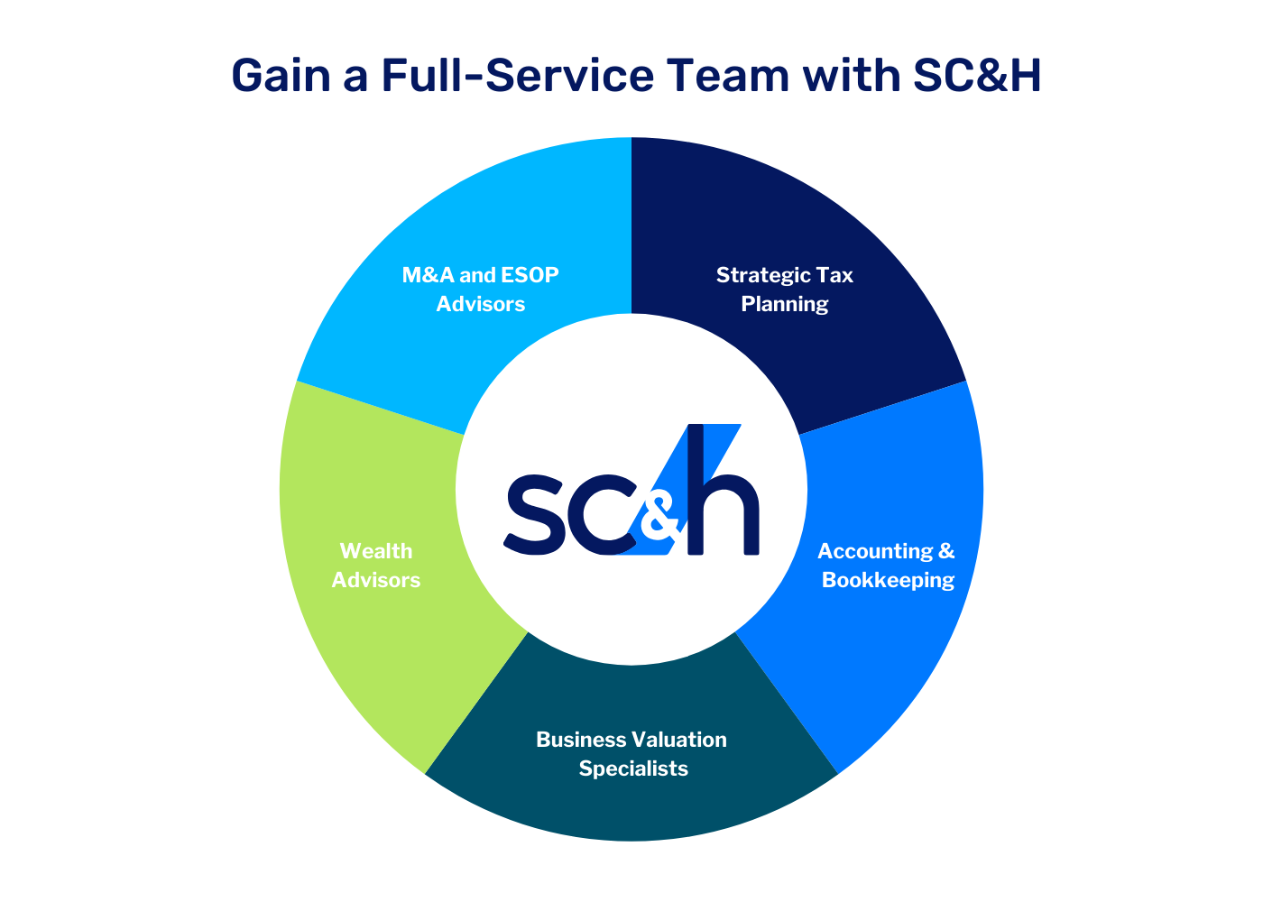 SC&H a Full Service Team